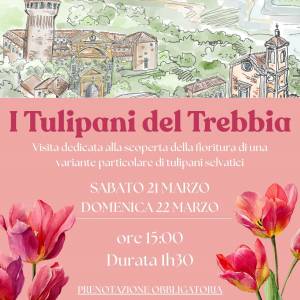 Giulia Pilotta immagine dell'evento: I Tulipani del trebbia